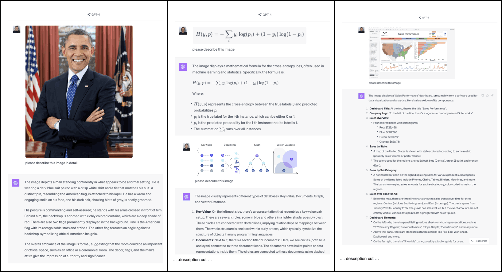 High-Fidelity Descriptions - Persons, Mathematics, Visualizations